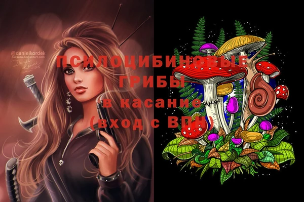 стаф Армянск