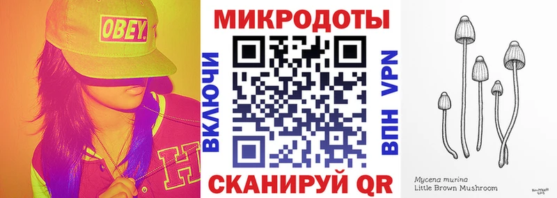 Псилоцибиновые грибы MAGIC MUSHROOMS  kraken как зайти  Снежногорск 